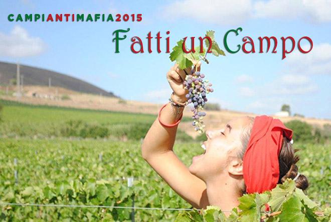 Campi antimafia 2015, una buona occasione per una vacanza all'insegna del divertimento e dell'impegno